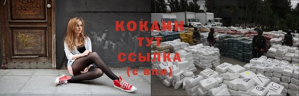spice Абаза