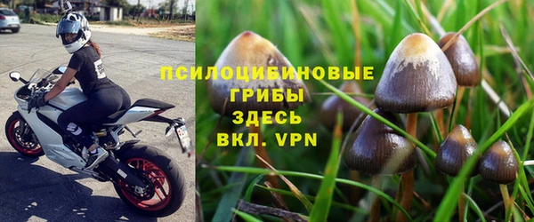 винт Алексин