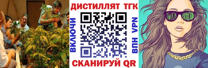 Дистиллят ТГК концентрат  где купить наркотик  Новоалександровск 